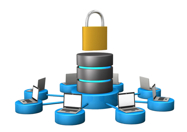 База эталонных фотоснимков изделий и их составных частей НОВО «ЭТАЛОН-Ф» купить по низкой цене | МАКСПРОФИТ